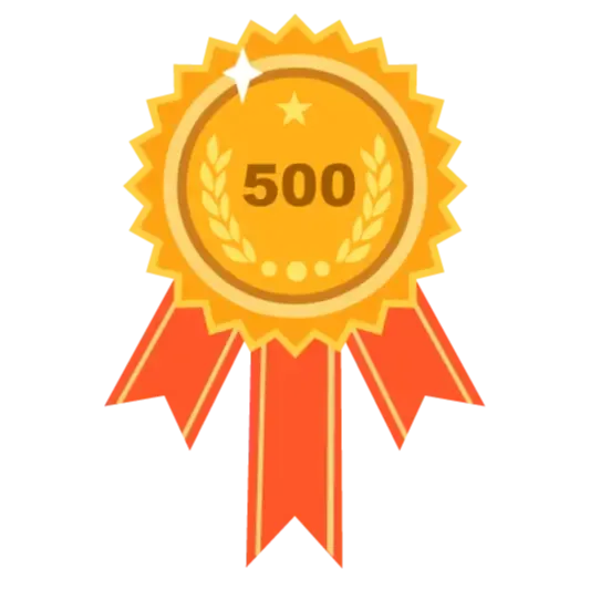 بیش از 500 پروژه موفق-image